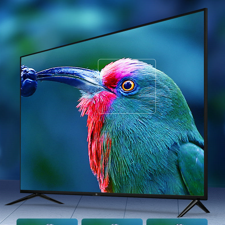 Laptop Monitor Projection Connection